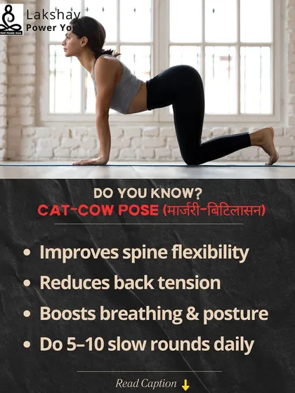 The benefits of Cat-Cow Pose for spine flexibility, reducing back tension, and improving posture.