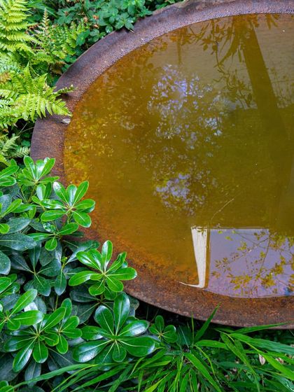 The reflection of a tree in a still water bowl, surrounded by lush foliage. We use reflective surfaces to add another dimension to the garden and highlight the beauty of the plants.