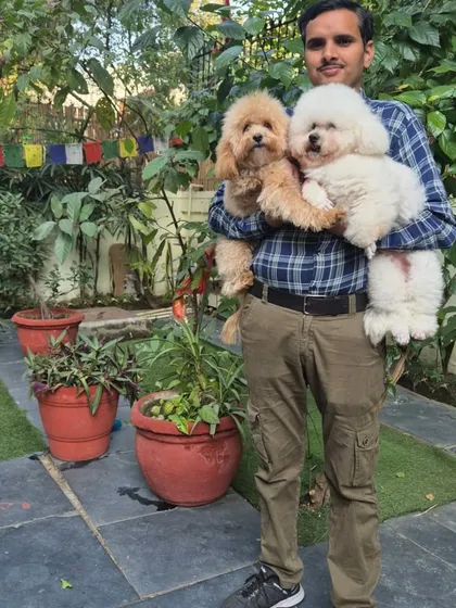 Narain and his two adorable charges, Archie and Columbus. Our team is experienced in handling multiple dogs and ensuring they all feel secure and loved.