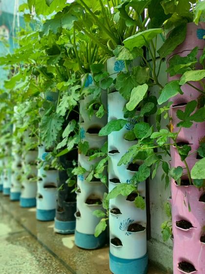 A close up of lush green plants growing from the pockets of the vertical towers. The design allows for healthy growth all around the tower.
