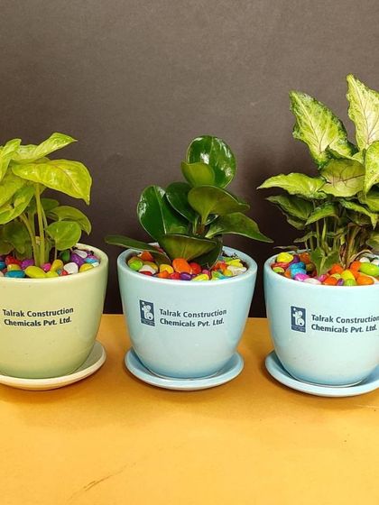 Branded Corporate Gifting photo 7