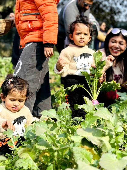 Farmus - Farm Day Out Experience The Joy of the Harvest photo 58