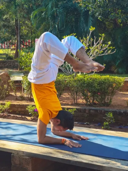 For those with a consistent practice, we offer advanced asana classes to deepen strength, flexibility, and focus. This practitioner demonstrates Pincha Mayurasana (Feathered Peacock Pose), a testament to dedicated practice.