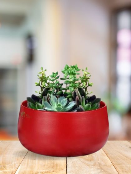 Our Store & Happy Customers photo 19