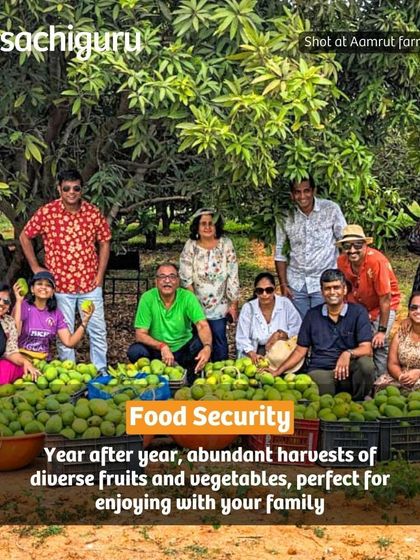 A permaculture food forest provides food security. With abundant harvests of diverse fruits and vegetables year after year, you can enjoy fresh, organic produce with your family.