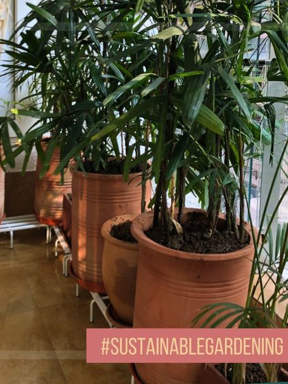 Sustainable Practices & Materials photo 18