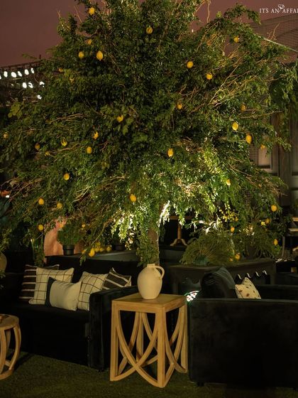 A large lemon tree serves as a natural centerpiece for a lounge area, grounding the dramatic design with an organic element.