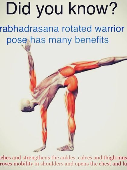 This graphic explains the muscular engagement in Parivrtta Virabhadrasana (Revolved Warrior Pose). Understanding the anatomy helps you appreciate how the pose strengthens your ankles and thighs while improving shoulder mobility and opening the chest.