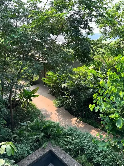 An elevated view of a winding path through the lush garden of an Alibaug villa. The landscape design creates a sense of discovery, leading you through a dense, jungle-like environment.