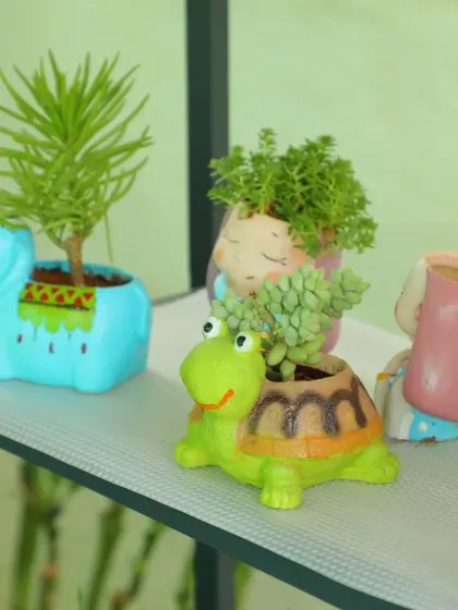 Even a single pot can tell a story. These adorable animal-themed polyresin pots, featuring an elephant and a turtle, are perfect for housing small succulents and adding a playful touch to any shelf.
