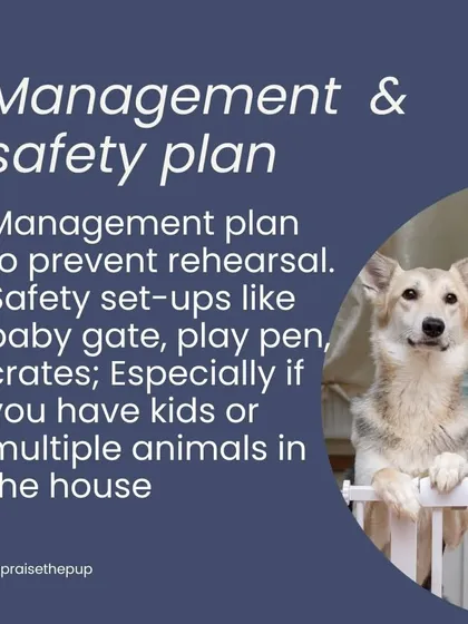 Safety setups like baby gates are essential for managing and preventing resource guarding. They help create clear boundaries, especially in a home with multiple animals, ensuring everyone feels secure with their own things.