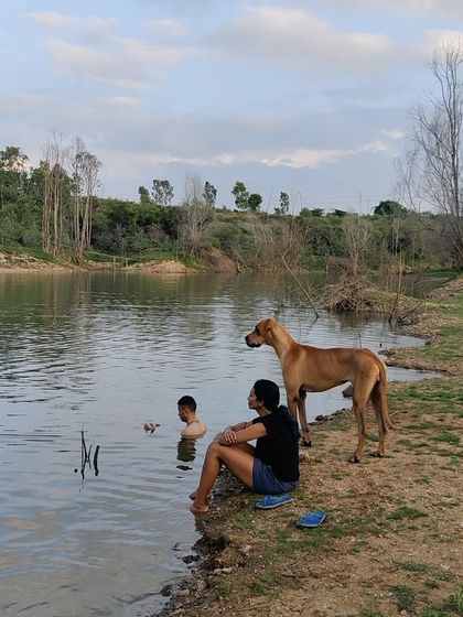 Taking a break by the lake with a furry friend, a serene moment from our flow fest that shows the relaxing side of our retreats.