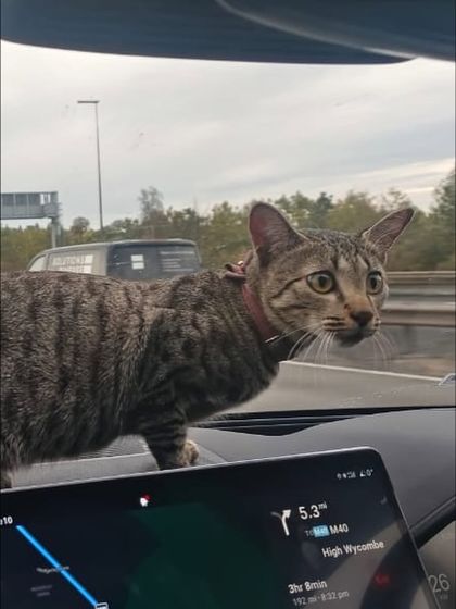 Across the Pond: UK & Europe Relocations photo 12