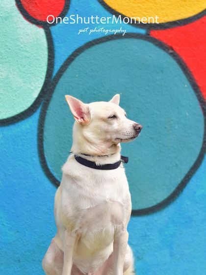 Priyanka - Family & Pet Photography Outdoor Family Adventures photo 33