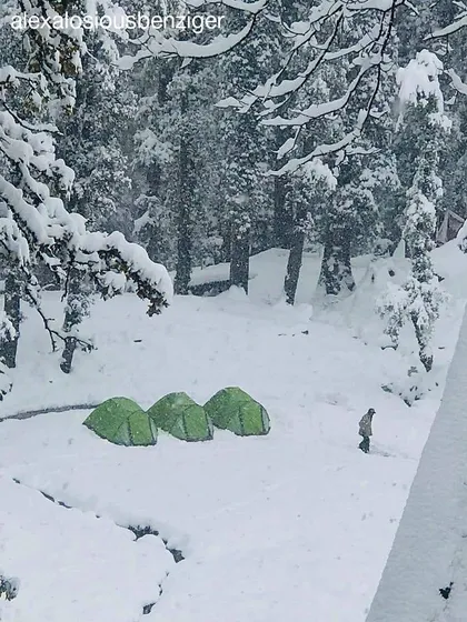 A lone figure walks through a clearing with three green tents pitched in the deep snow. This image conveys the quiet and peacefulness of the winter forest.