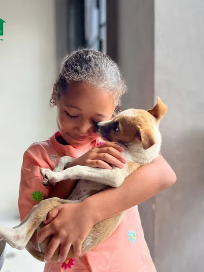 A young girl cradles a trusting puppy in her arms, a beautiful picture of the bond formed at our events.