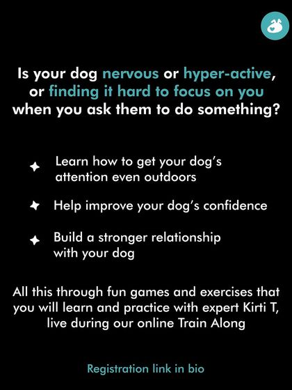 In my focus-building Train Along, you'll learn how to improve your dog's confidence and build a stronger relationship through fun games. This graphic outlines what you can expect to learn in this live, practical session.