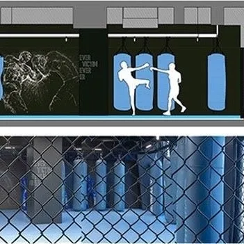 This image highlights the punching bag area and fighting cage, showing the direct translation from our detailed design drawings to the final built environment.