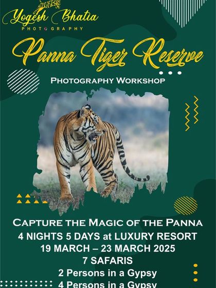 An advertisement for my upcoming Panna Tiger Reserve photography workshop. These trips are designed for small groups to ensure personalized mentorship, with options for 2 or 4 people per gypsy.