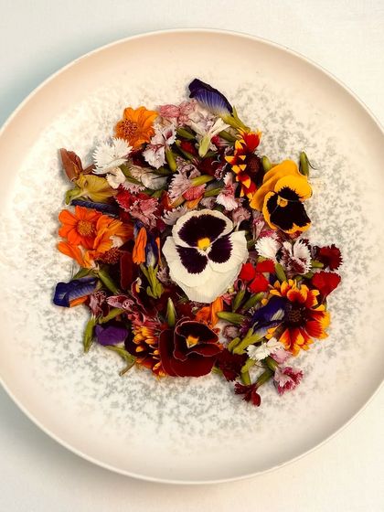 A plate of edible flowers, ready to be used as garnishes. We believe in beauty and flavour, and these vibrant petals add a touch of both to our dishes.