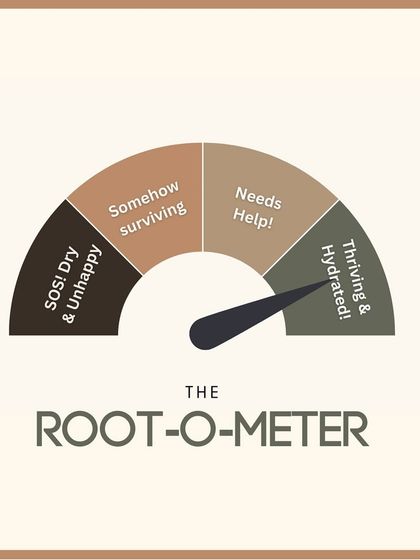 The Root-O-Meter helps you gauge your scalp's health. Whether it's "SOS! Dry & Unhappy" or "Thriving & Hydrated," I have expert solutions to help.