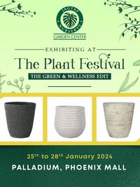 Festival & Event Management