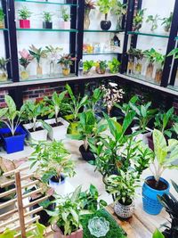 Plant Sales & Supply