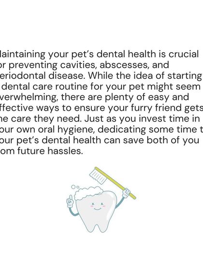 Woofly - Home Veterinary Services Essential Dental Health photo 4