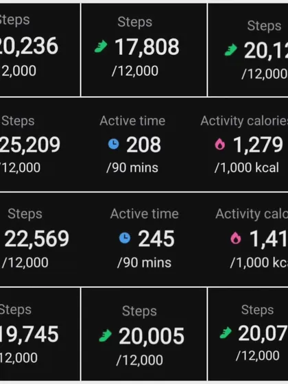 The numbers don't lie. A collage of a client's daily activity metrics, showing high step counts and active time. This is the data-driven accountability we use to track progress.