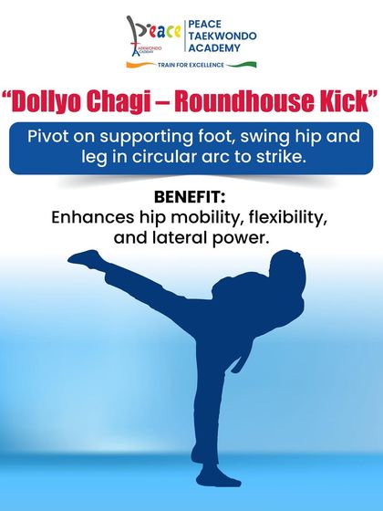 Learn the Art: Taekwondo for Beginners photo 9