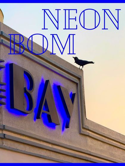 A crow perches on a neon sign, a moment where nature and urban glow intersect.