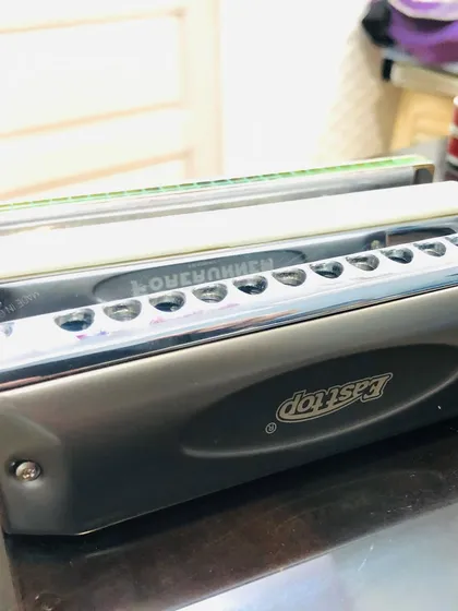 A close-up of the harmonicas used in our classes. We guide students on choosing the right type of harmonica, whether it's a diatonic or chromatic, for their musical goals.