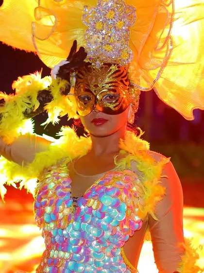 We bring the party to you! Here's a glimpse of a spectacular Rio Carnival theme we created for a private wedding celebration. Our dancers, in vibrant, custom-made costumes, brought the energy of Samba to life.