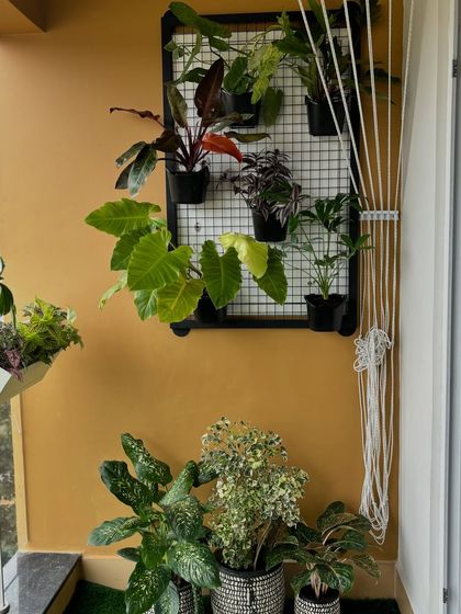 This client wanted a tropical oasis with big, bold leaves. We used a metal grid frame to create a vertical display of colorful philodendrons and other large-leafed plants, fulfilling their vision perfectly.