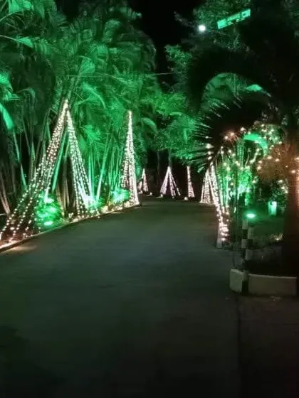 For evening events, I use lighting to create a magical atmosphere. This pathway is illuminated with a combination of green uplighting on the trees and warm string lights, guiding guests through the venue.