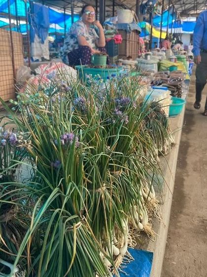 Bunches of fresh Allium Chinense, a type of flowering chive, for sale at a local market in Northeast India. We are always searching for unique ingredients to bring back to our kitchen.