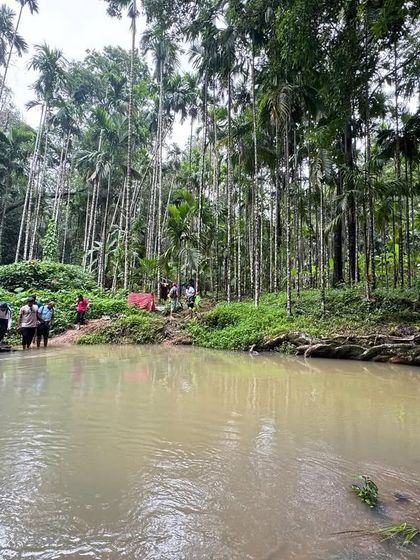 The group crossing a river surrounded by tall areca nut trees, a classic Malnad landscape.