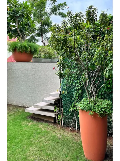 Floating steps lead from the ground-level garden up to a higher terrace. The use of terracotta-colored pots adds a warm, earthy tone that complements the abundant greenery.