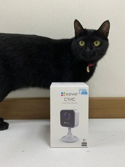 The EZVIZ C1HC is a compact, fixed-view smart home camera. Its simple setup and magnetic base make it a great choice for monitoring a specific area like a doorway or a child's room.