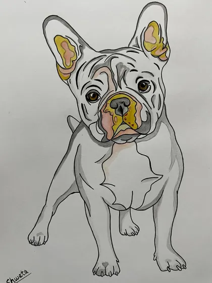 A stylized watercolor painting of a French Bulldog. While my main focus is pencil, I also explore other mediums to capture the charm of pets.