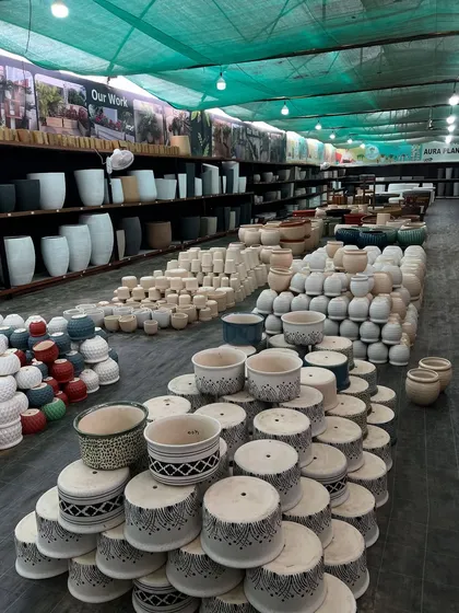 We offer pots with unique patterns and classic designs. This section shows some of our patterned ceramic pots that can add an artistic touch to your plants.
