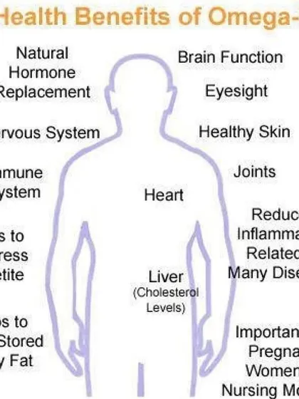 This diagram illustrates the wide-ranging benefits of Omega-3 fatty acids, from supporting brain and heart function to helping manage inflammation. We educate our clients on why this nutrient is so important for overall health.