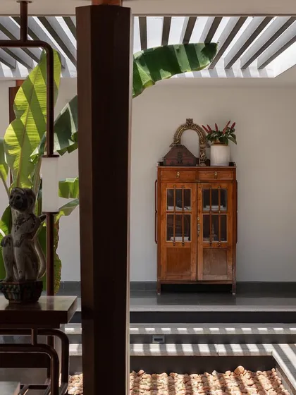 A detail shot from the 'House of Quad', where light filters through a pergola, casting shadows that highlight the textures of an antique cabinet and indoor plants.