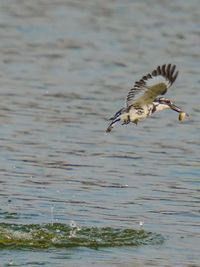 Fine Art Nature Prints