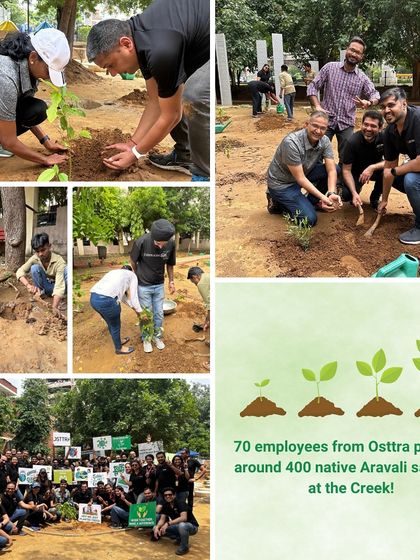A collage showing 70 employees from Osttra planting around 400 native Aravali saplings at the Creek, a testament to their commitment to a greener Gurgaon.