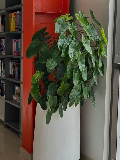 Greening Commercial Spaces photo 35