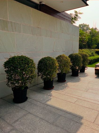 Luxury Villa & Farmhouse Estates photo 38