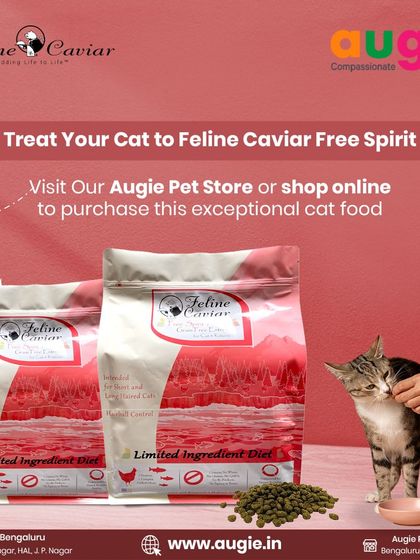Augie Pets - Pet Supplies For Our Feline Friends: Premium Cat Nutrition photo 35