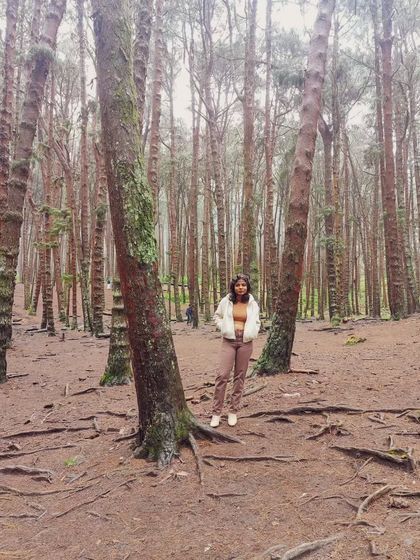 Jaya Kumari - Personal Styling & Wardrobe Consulting My Style & Other Thoughts photo 9