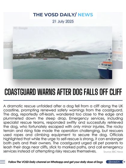 After a dog fell from a cliff along the UK coastline, the coastguard issued a warning to pet owners. They urge people to keep dogs on a leash near cliffs and to call for emergency services instead of attempting risky self-rescues.